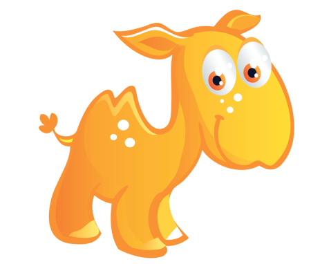 baby camel cartoon
